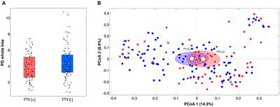 Torquetenovirus in pregnancy: Correlation with vaginal microbiome, metabolome and pro-inflammatory cytokines